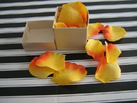  Boxed confetti Apricot
